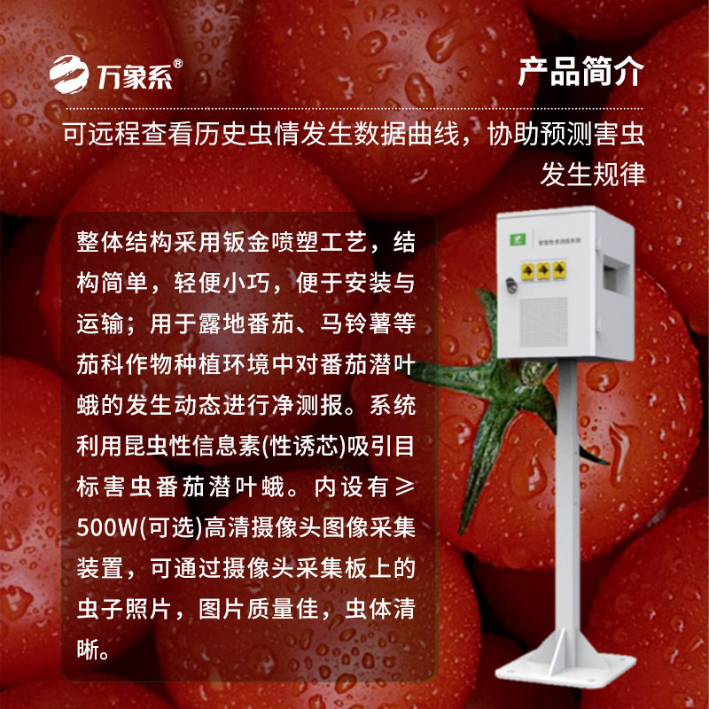 番茄園的電子哨兵：番茄潛葉蛾性誘測報系統