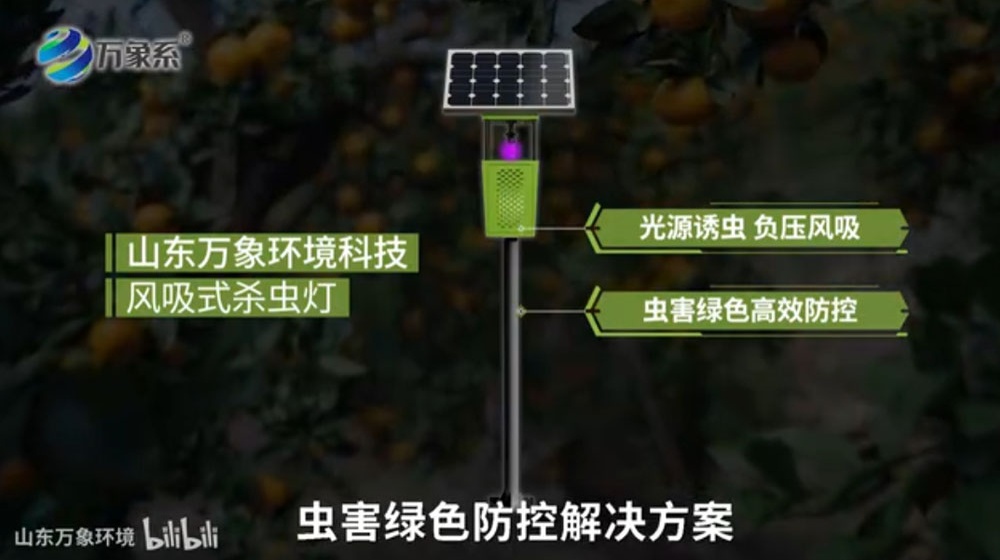 風(fēng)吸式太陽能殺蟲燈