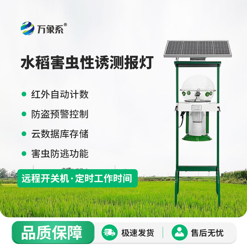 精準誘捕+智能預警，水稻害蟲性誘測報燈護好一片稻田